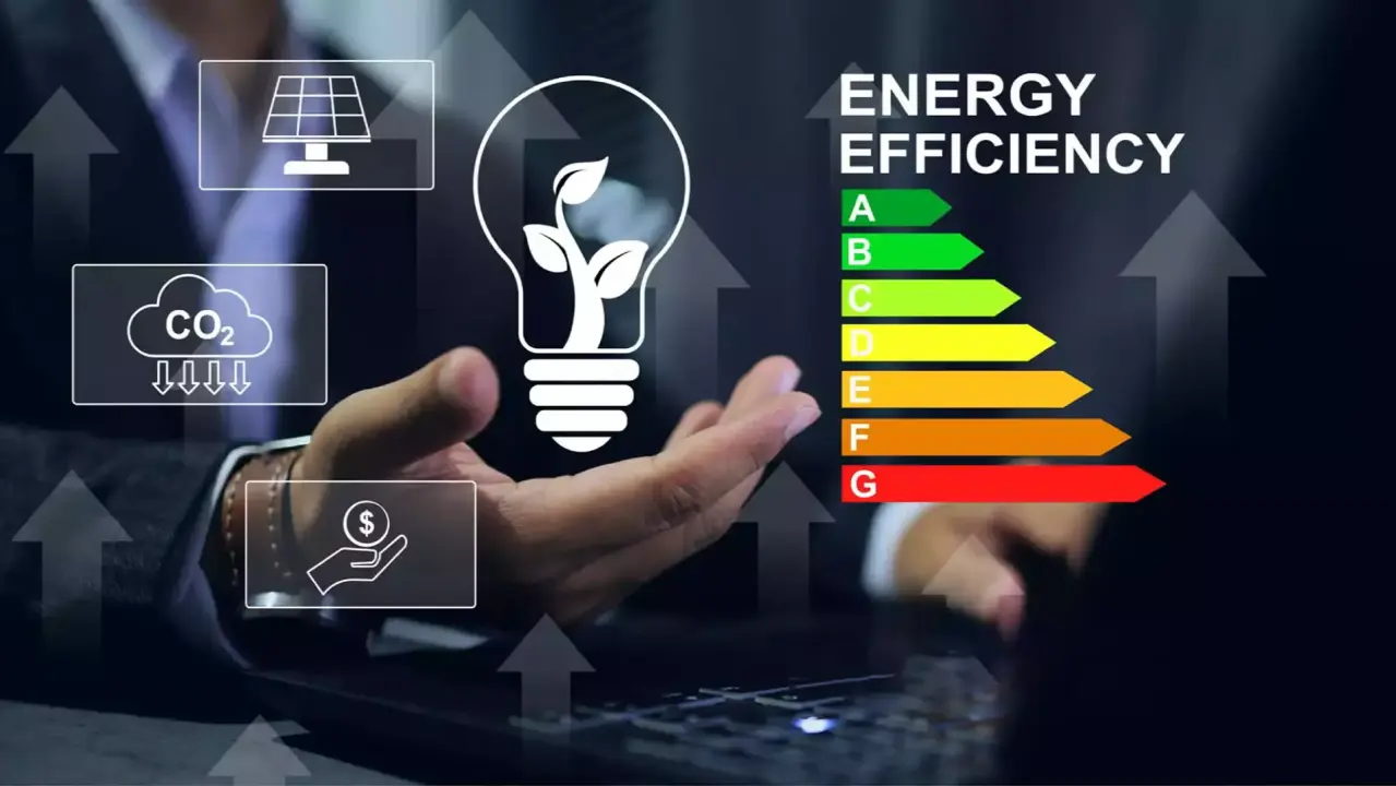 Energy Audit Services - Green Vertex