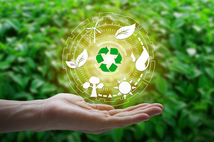 Environmental-consultancy - Green Vertex